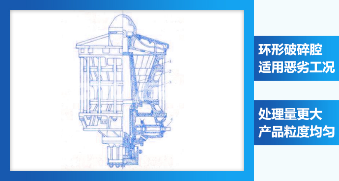 1636522774391944.jpg 3.jpg