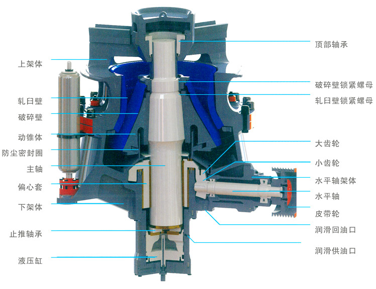 1636525252609001.jpg 3.jpg